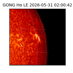 gong - 2026-05-31T02:00:42