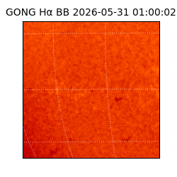 gong - 2026-05-31T01:00:02