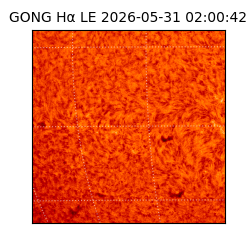 gong - 2026-05-31T02:00:42