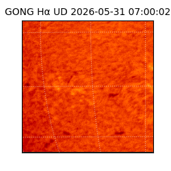 gong - 2026-05-31T07:00:02