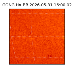 gong - 2026-05-31T16:00:02