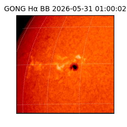 gong - 2026-05-31T01:00:02