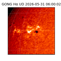 gong - 2026-05-31T06:00:02