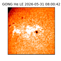 gong - 2026-05-31T08:00:42