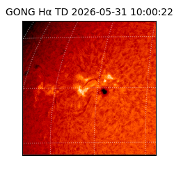 gong - 2026-05-31T10:00:22