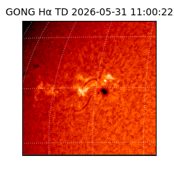 gong - 2026-05-31T11:00:22