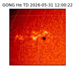 gong - 2026-05-31T12:00:22