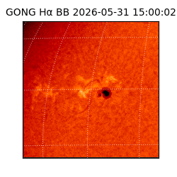 gong - 2026-05-31T15:00:02