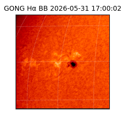 gong - 2026-05-31T17:00:02