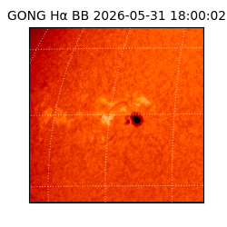 gong - 2026-05-31T18:00:02