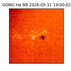 gong - 2026-05-31T19:00:02