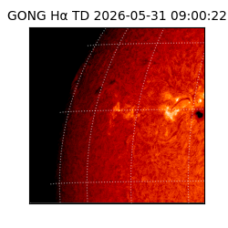 gong - 2026-05-31T09:00:22