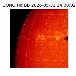 gong - 2026-05-31T14:00:02