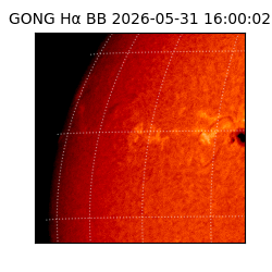 gong - 2026-05-31T16:00:02