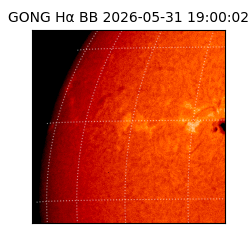 gong - 2026-05-31T19:00:02
