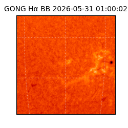 gong - 2026-05-31T01:00:02