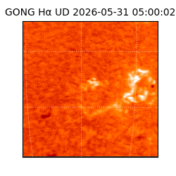 gong - 2026-05-31T05:00:02