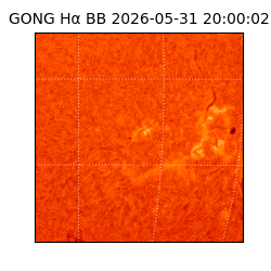 gong - 2026-05-31T20:00:02