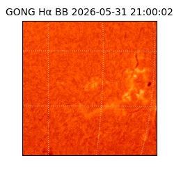 gong - 2026-05-31T21:00:02