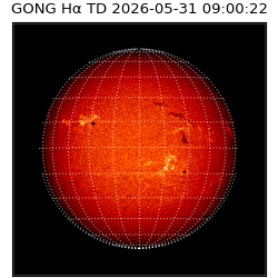 gong - 2026-05-31T09:00:22