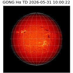 gong - 2026-05-31T10:00:22