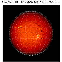 gong - 2026-05-31T11:00:22