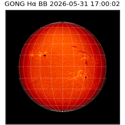 gong - 2026-05-31T17:00:02