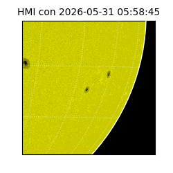 shmi - 2026-05-31T05:58:45