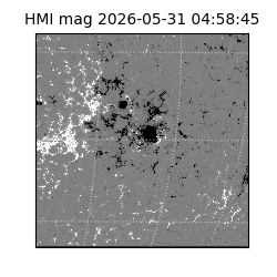 shmi - 2026-05-31T04:58:45