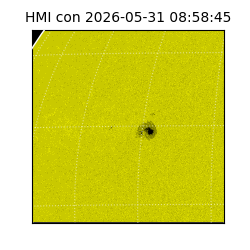 shmi - 2026-05-31T08:58:45