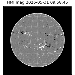 shmi - 2026-05-31T09:58:45
