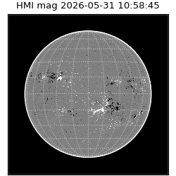 shmi - 2026-05-31T10:58:45