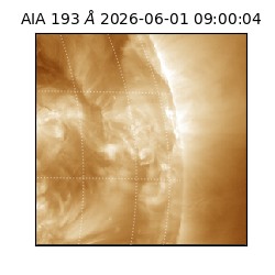 saia - 2026-06-01T09:00:04.842000