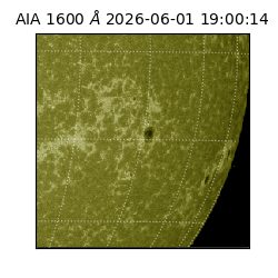 saia - 2026-06-01T19:00:14.124000