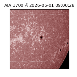 saia - 2026-06-01T09:00:28.743000