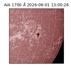 saia - 2026-06-01T13:00:28.717000