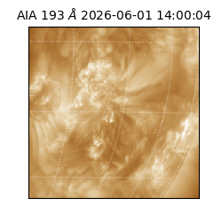 saia - 2026-06-01T14:00:04.842000