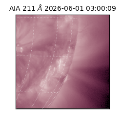 saia - 2026-06-01T03:00:09.631000