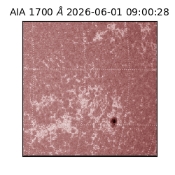 saia - 2026-06-01T09:00:28.743000