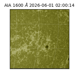 saia - 2026-06-01T02:00:14.132000