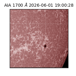 saia - 2026-06-01T19:00:28.720000