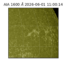 saia - 2026-06-01T11:00:14.123000