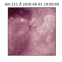 saia - 2026-06-01T19:00:09.623000