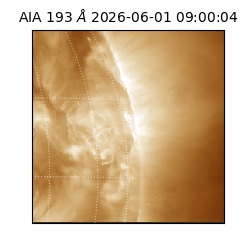 saia - 2026-06-01T09:00:04.842000