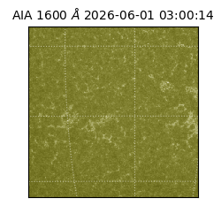 saia - 2026-06-01T03:00:14.132000