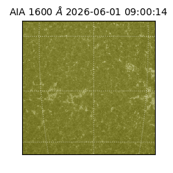 saia - 2026-06-01T09:00:14.124000