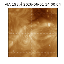 saia - 2026-06-01T14:00:04.842000