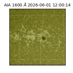 saia - 2026-06-01T12:00:14.123000