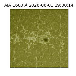 saia - 2026-06-01T19:00:14.124000