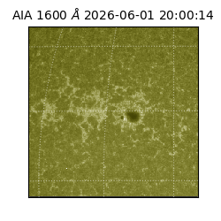 saia - 2026-06-01T20:00:14.124000